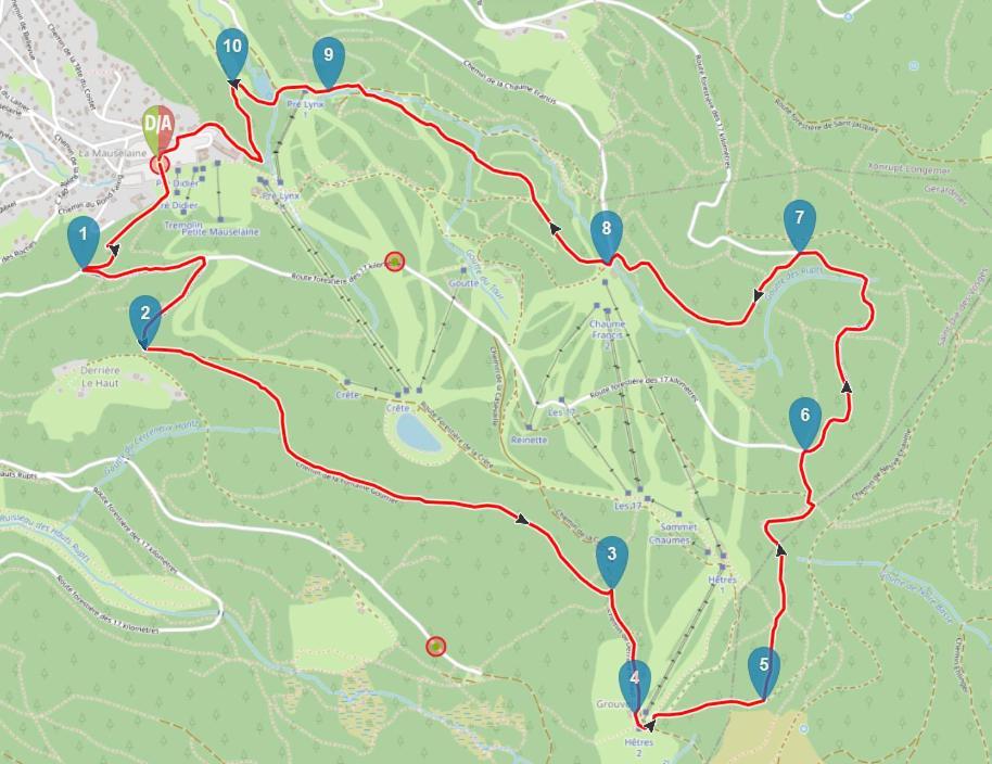 Aux Pieds Des Pistes 4/6 Personnes Leilighet Gérardmer Eksteriør bilde