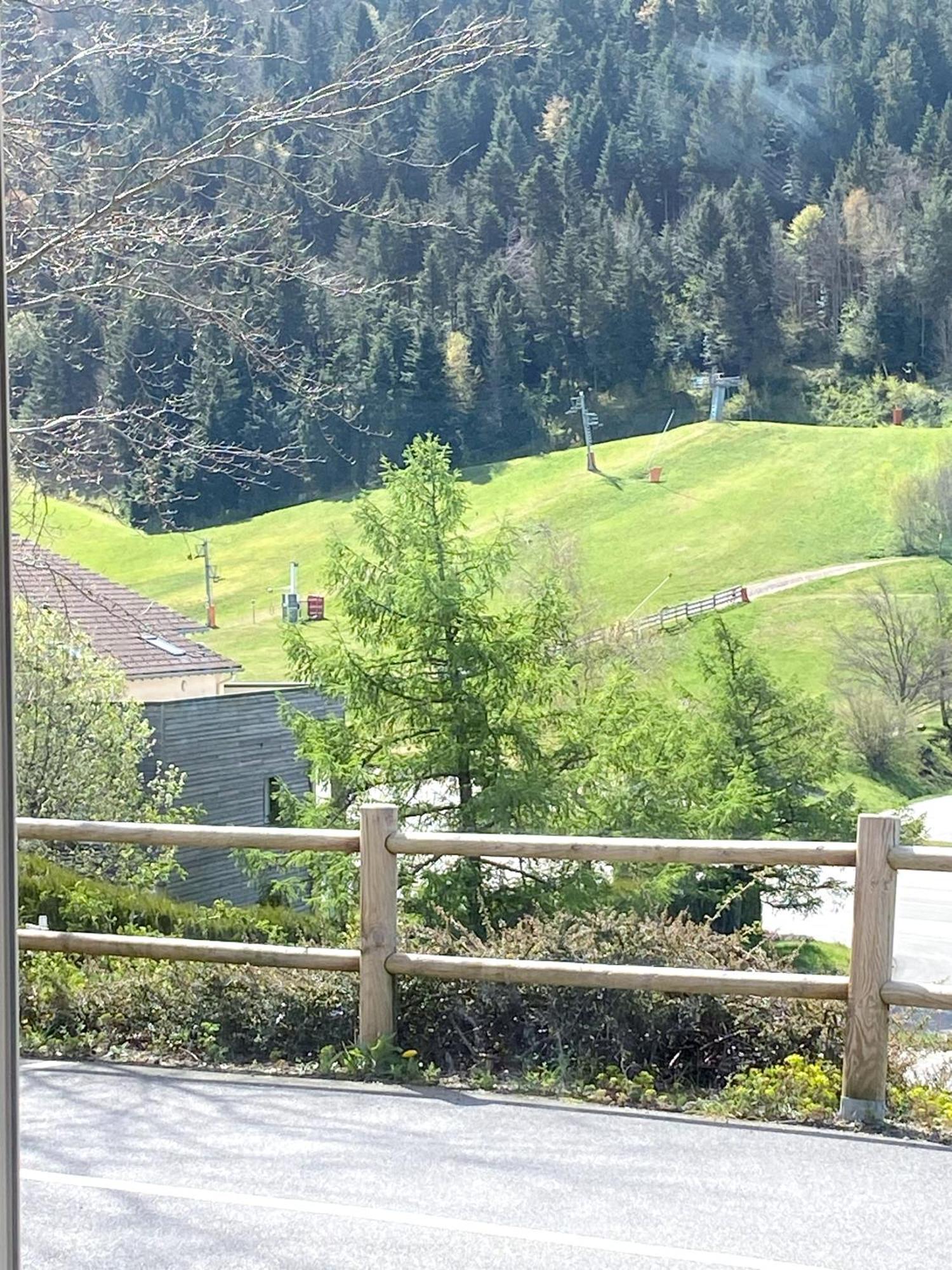 Aux Pieds Des Pistes 4/6 Personnes Leilighet Gérardmer Eksteriør bilde